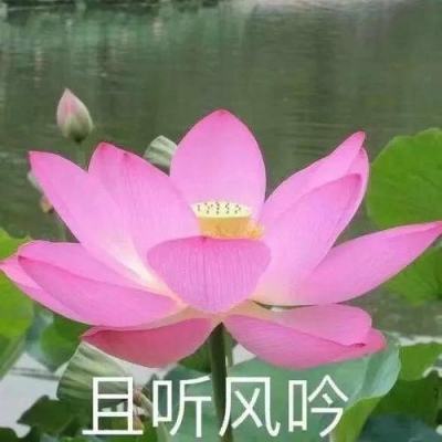 九天飞扬霸业手游下载